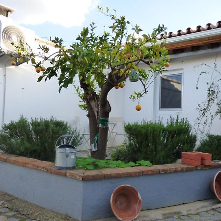Solar Da Cumeada Bed & Breakfast Reguengos de Monsaraz Dış mekan fotoğraf