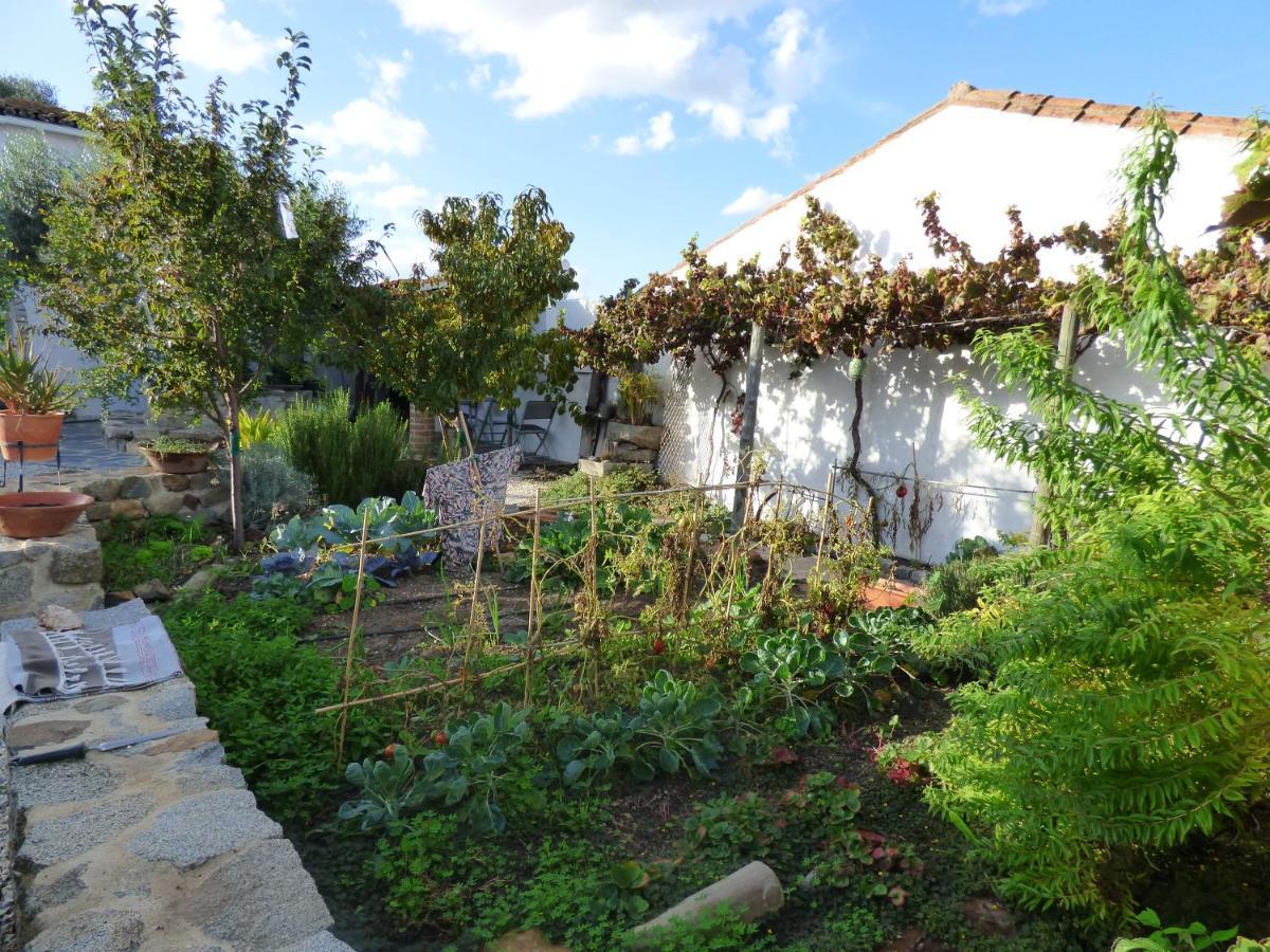 Solar Da Cumeada Bed & Breakfast Reguengos de Monsaraz Dış mekan fotoğraf