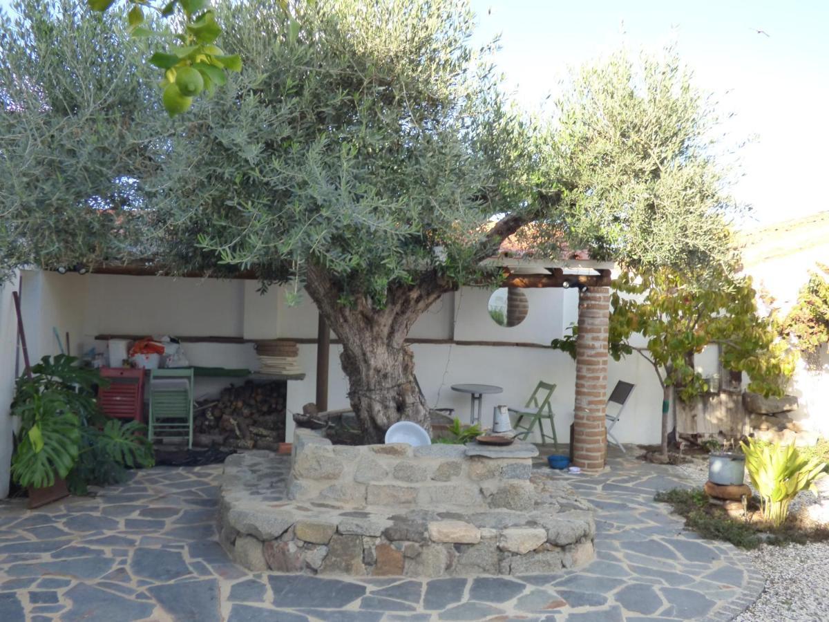 Solar Da Cumeada Bed & Breakfast Reguengos de Monsaraz Dış mekan fotoğraf