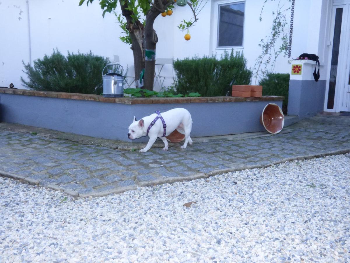 Solar Da Cumeada Bed & Breakfast Reguengos de Monsaraz Dış mekan fotoğraf